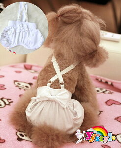 IWilC nJo[I[ jbJ[ {bJ[ỸV[gpc ^pZ[ gCv[h ps ` [L[ |jA tĐV EFA  