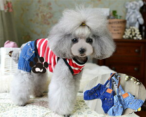 Vv|Pbgt@_炩EHbVHfj@n[tY{Epc^p􁚃Z[ gCv[h ps ` [L[ tĐV EFA  