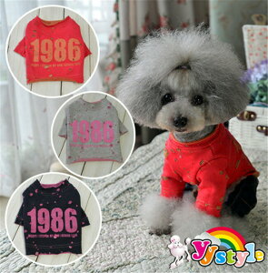 ȃ_[W1986g[i[Ep[JETVc^p􁚃Z[ gCv[h ps ` [L[ tĐV EFA  