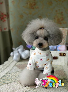  Xgb`  100ȑf |Pbgt  TVc ^p XS SZ[ gCv[h ps ` [L[ tĐV EFA  