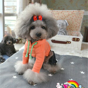 SUPER DOGvgg[i[/p[J[2FWJ􏬌^p􁚃Z[ gCv[h ps ` [L[ tĐV EFA  