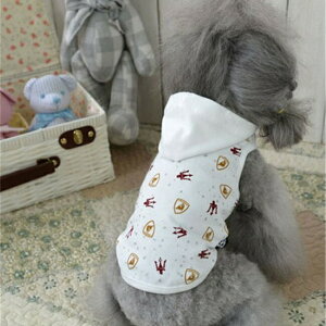 vg@t[ht^NgbvExXg^p􁚃Z[ gCv[h ps ` [L[ tĐV EFA  