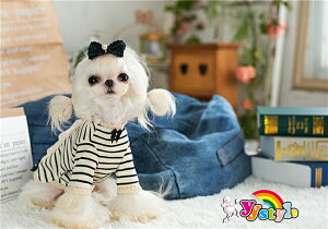 [  Z[ gCv[h ps ` [L[ |jA t HV EFA  