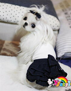 V쁚JWAȈّfސؑփMU[s[X1FWJ􏬌^pZ[ gCv[h ps ` [L[ tĐV EFA  