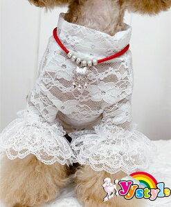 Ԗ͗l@^[glbÑt̑[XTVcECi[EGA^p􁚃Z[ gCv[h ps ` [L[ tĐV EFA  