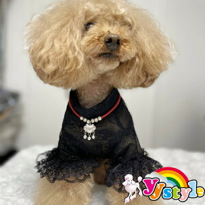 Ԗ͗l@^[glbÑt̑[XTVcECi[EGA^p􁚃Z[ gCv[h ps ` [L[ tĐV EFA  