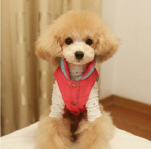 ȓ@o[Vu@VbgxXg@^p􁚃Z[ gCv[h ps ` [L[ tĐV EFA  