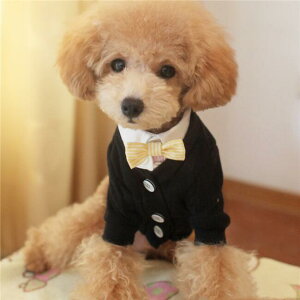 lC􁚐V쁚J[fBKEZ[^[^p􁚃Z[ gCv[h ps ` [L[ tĐV EFA  