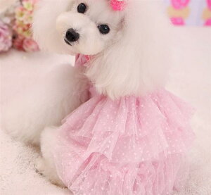 2FWJIfj×hbg[XƂĂȃs[XZ[ gCv[h ps ` [L[ tĐV EFA  