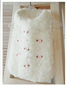 iCCs[XER[g􁚏^p􁚃Z[ gCv[h ps ` [L[ tĐV EFA  