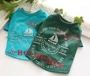 Vvȃbg@TVc􏬌^pZ[ gCv[h ps ` [L[ tĐV EFA  