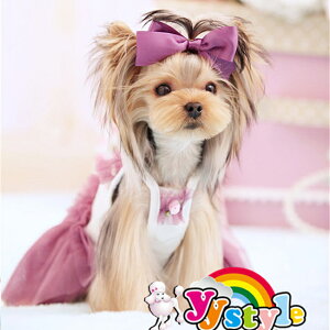 CCPnL~s[XEhXEtH[}x[WEp[vi1A2A3A4jZ[ gCv[h ps ` [L[ tĐV EFA  