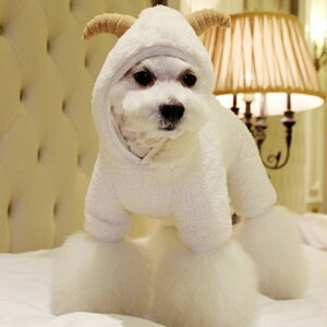 yH~VzrEFAȂ^p􁚃Z[ gCv[h ps ` [L[ tĐV EFA  