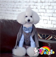 犬 タキシード 豪華なタキシード5点セット 犬服 ドッグウェア フォーマル パーティー 結婚式 ウール素材…