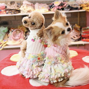 JK{tts[X@jbg nClbN ^Z[ gCv[h ps ` |jA H~V EFA    SALE |Cg  ` JK uh 