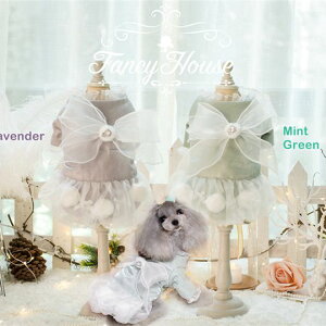  Ǔ g vZX Pl ЂR[g [X || S[WX LL y NX}X  Z[ gCv[h ps ` [L[ ~ V EFA  