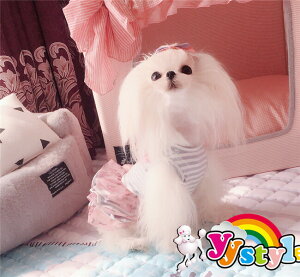 ̃jbg{[_[C&VtHfނّ̈fށ@s[X^p􁚃Z[ gCv[h ps ` [L[ tĐV EFA  