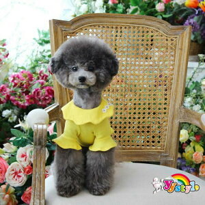 wx_͗l TVcECi[􏬌^pZ[ gCv[h ps ` [L[ tĐV EFA  yLbgEFAzyLz