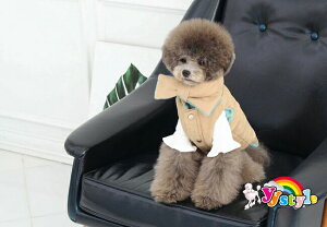 wxzF}t[tAg_ER[gSET AC{[F@_ExXg􏬌^pZ[ gCv[h ps ` [L[ tĐV EFA  yLbgEFA