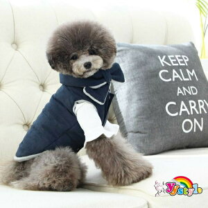 wxzF}t[_ER[gSET `R[F􏬌^pZ[ gCv[h ps ` [L[ tĐV EFA  yLbgEFAzyLz