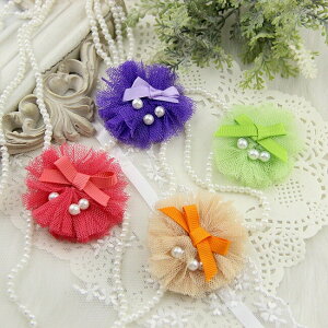 pwAs Nbv^Cv wASƃJ[BBNbv v[g^pZ[ gCv[h ps ` [L[ |jA ANZT[   Be