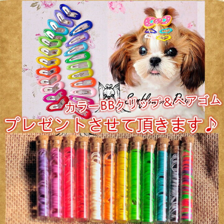 犬用ヘアピン クリップタイプ セール トイプードル プレゼント小型犬用 ヘアゴムとカラーbb