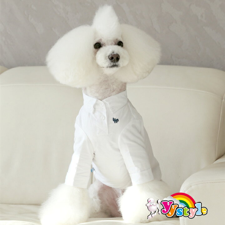 楽天市場】送料無料 豪華なタキシード5点セット 犬服 犬 タキシード 