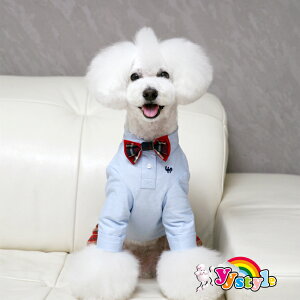  ؂ȃ^LV[h5_Zbg   ^LV[h hbOEFA tH[} p[eB[  E[fގg CVc xXg X[cR[g Y{ EFA  X[c gC