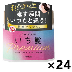 �y���������z������ �v���~�A�� ���b�s���O�}�X�N 200gx24�� �N���V�G