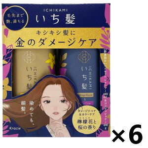 yʌ!!zyP[X̔!!z Vv[RfBVi[؃AZbg _[WyAJ[PA |v 480ml+480gx6 NVG