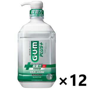 yzKEvX f^X XbLu₩^Cv 900mlx12{ TX^[