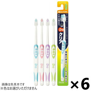 DoNAnuV RpNg 炩 6{ TX^[F͂Iт܂B