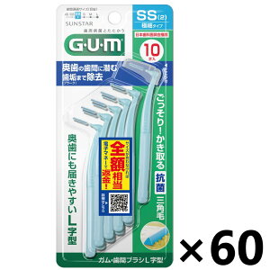 yzKEԃuV L^ TCYSS 10Px60 TX^[