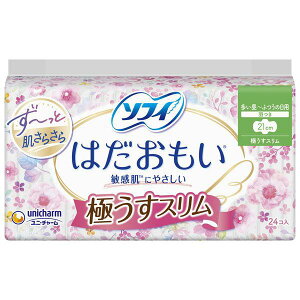 \tB͂ɂX p H 21cm 24 jE`[