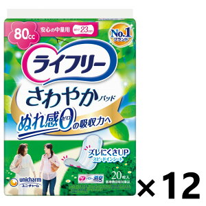 yzCt[ ₩pbh S̒ʗp 80cc 20x12pbN jE`[