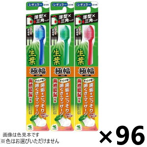 yzt(傤悤)ɕuV M[ ӂ 96{ ѐ򁦐F͂Iт܂B