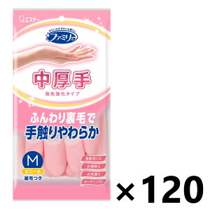 yzt@~[ rj[  w拭 sN MTCY 1ox120 GXe[