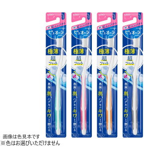 sI[nuV RpNg ӂ 1{ ԉF͂Iт܂B