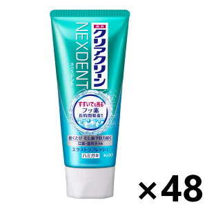 yzNAN[ NEXDENT(lNXfg) GNXgtbV 120gx48{ ԉ