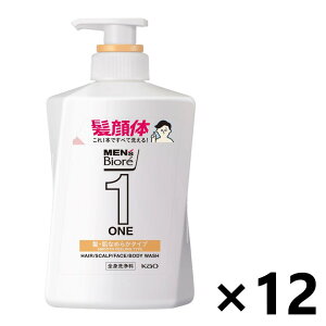 yzYrI ONE I[CSg EȂ߂炩^Cv ₳t[T{̍ { 480mlx12{ ԉ