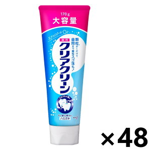 yzNAN[ GNXgN[ BIGTCY 170gx48{ ԉ