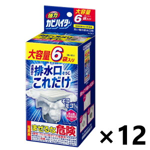 yz̓JrnC^[ rꂾ 6ܓx12 ԉ