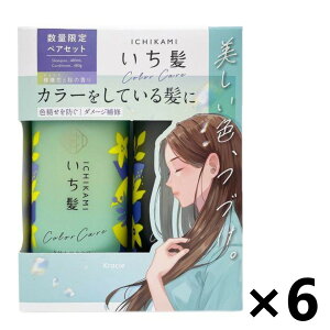 yz J[PAx[Xg[ggin yAZbg(Vv[+RfBVi[) |v 480ml+480gx6 NVG