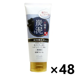 【送料無料】ロッシモイストエイド 国産ホイップ洗顔S (炭&泥) 120gx48本 コスメテックローランド