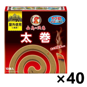 yz̉Q nGɂ  10(1t)x40 {e