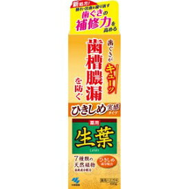生葉(しょうよう) ひきしめ実感タイプ 100g ハミガキ粉 オーラルケア 小林製薬