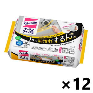 yzLb`NCbN ߂p W{pbN 24x12 ԉ