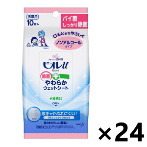 y(ꕔn)zrIu ۂ炩EFbgV[g mAR[^Cv 10x24 nh\[vEwpō܁EۃV[g ԉ