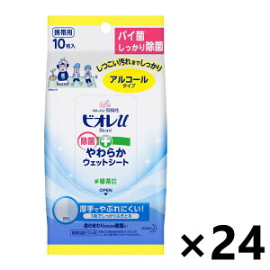 y(ꕔn)zrIu ۂ炩EFbgV[g AR[^Cv 10x24 nh\[vEwpō܁EۃV[g ԉ