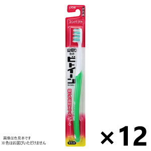 rgC[CI RpNg  12{ CIF͂Iт܂B